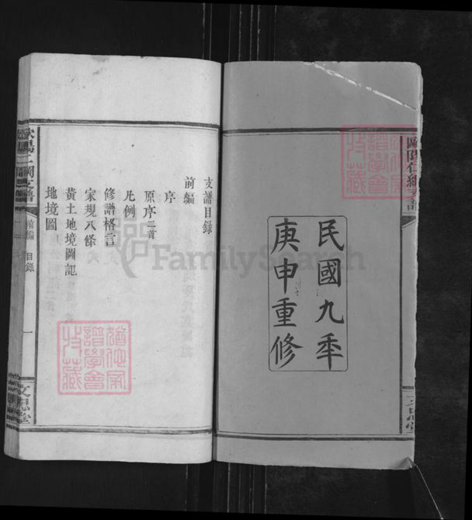 江西省萍乡市莲花县神泉乡欧阳氏文忠堂族谱-欧阳仁纲支谱.pdf电子版插图2