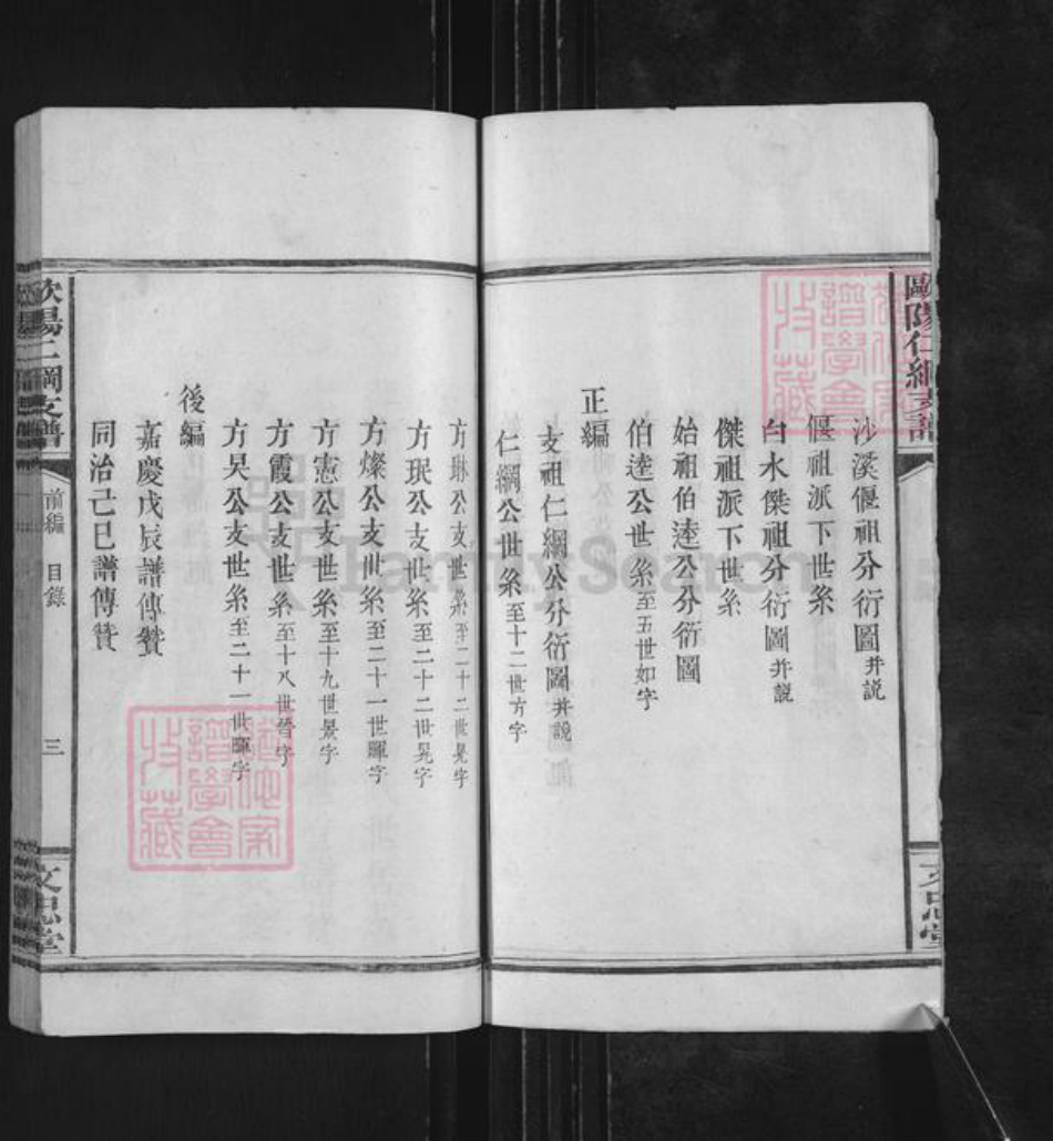 江西省萍乡市莲花县神泉乡欧阳氏文忠堂族谱-欧阳仁纲支谱.pdf电子版插图4