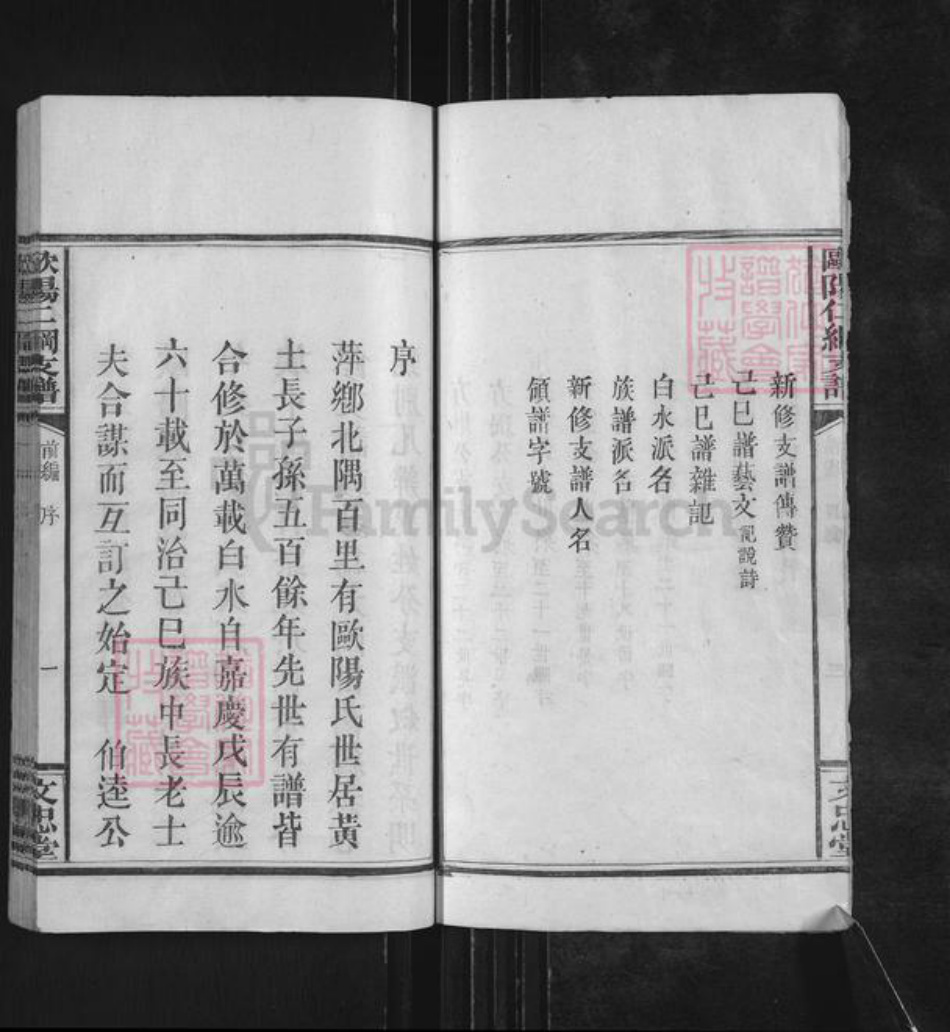 江西省萍乡市莲花县神泉乡欧阳氏文忠堂族谱-欧阳仁纲支谱.pdf电子版插图5