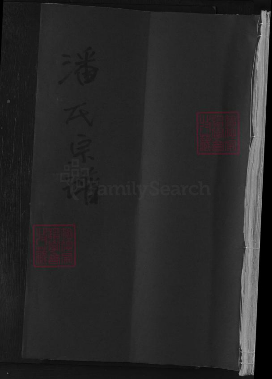 湖北省黄石市阳新县潘氏族谱-潘氏宗谱.pdf电子版插图
