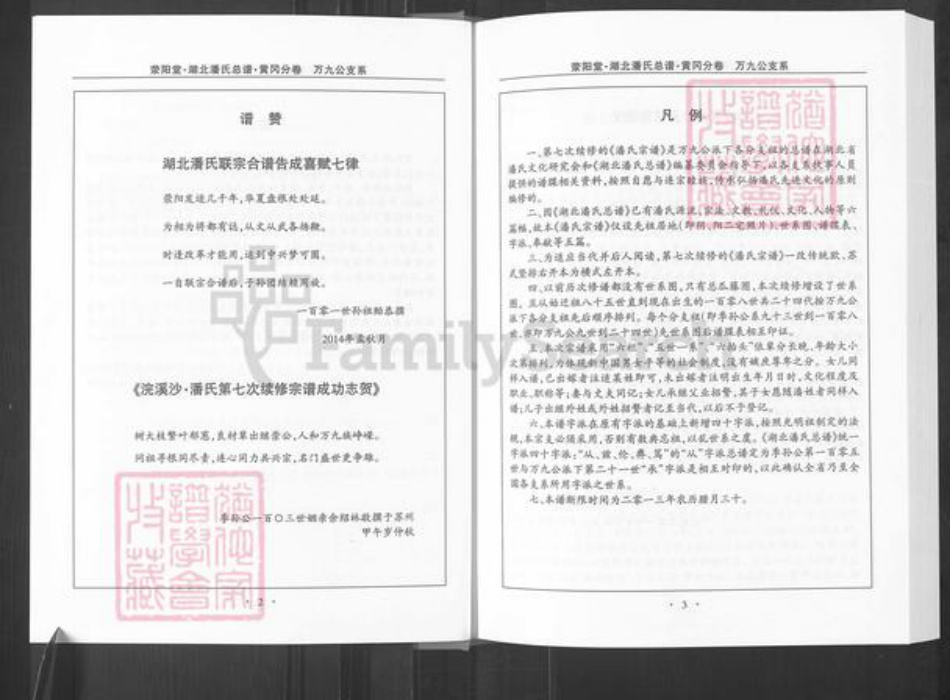 湖北省黄冈市红安县潘氏荥阳堂族谱-潘氏宗谱.pdf电子版插图4