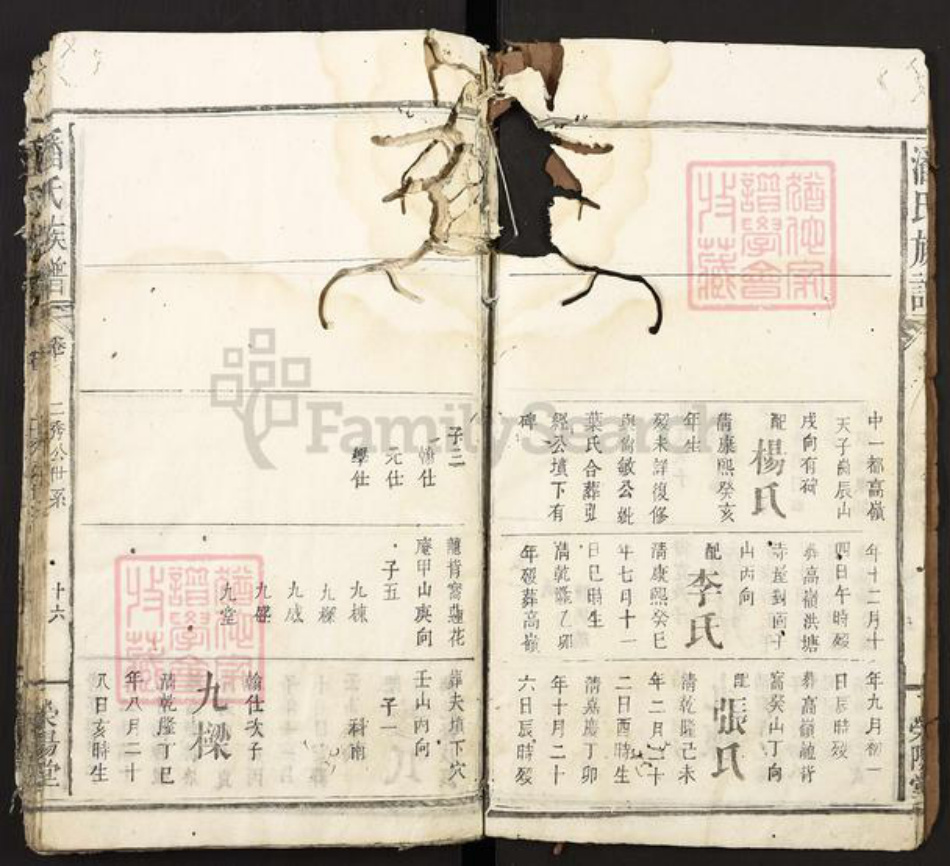 江西省宜春市袁州区潘氏荣阳堂族谱-潘氏宗谱.pdf电子版插图5