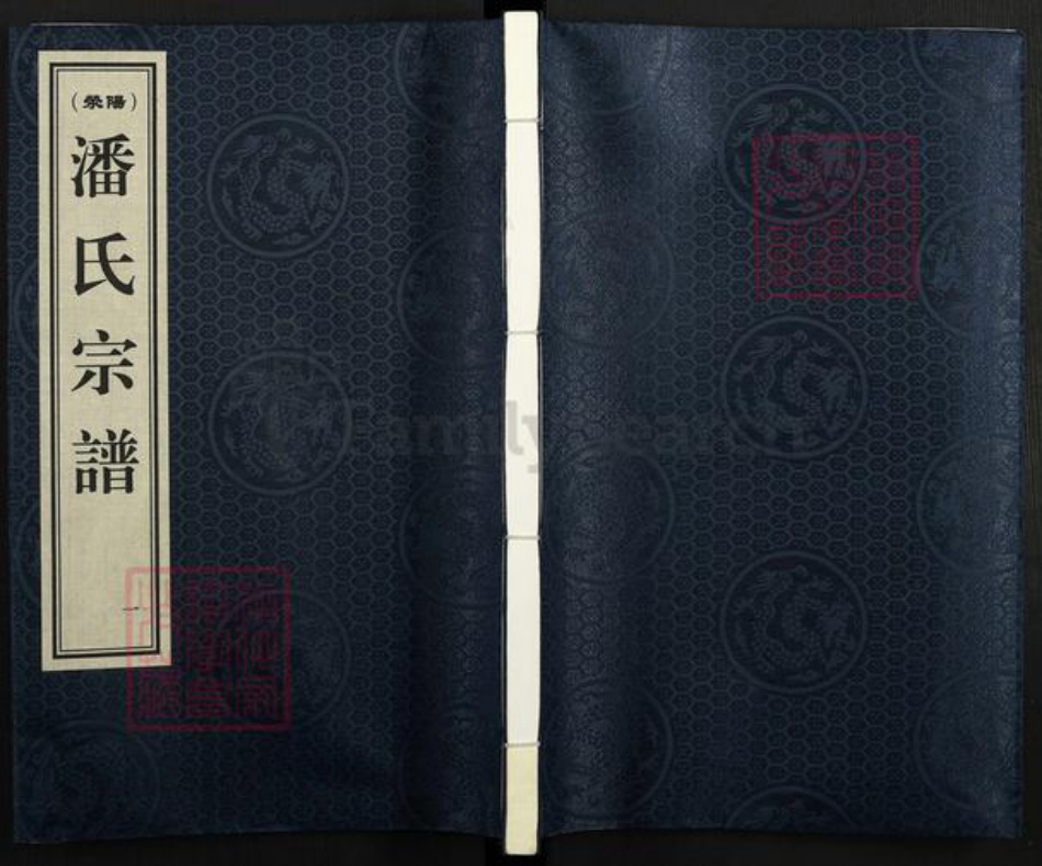 安徽省合肥市庐江县潘氏簪笏堂族谱-潘氏宗谱.pdf电子版插图