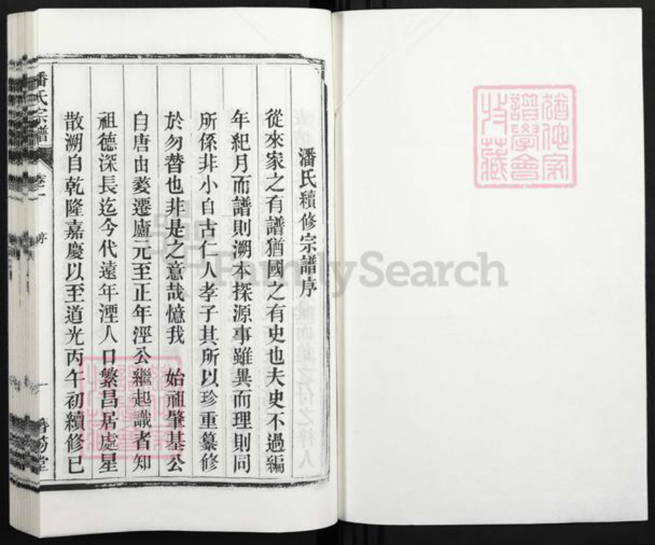 安徽省合肥市庐江县潘氏簪笏堂族谱-潘氏宗谱.pdf电子版插图1