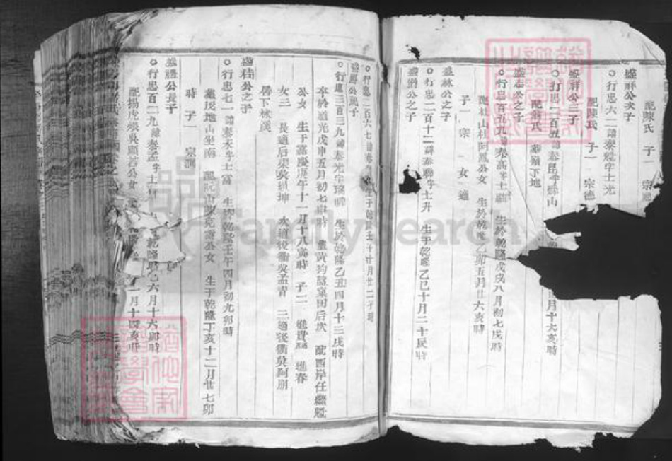 河南省郑州市荥阳市潘氏族谱-荥阳郡潘氏宗谱.pdf电子版插图2
