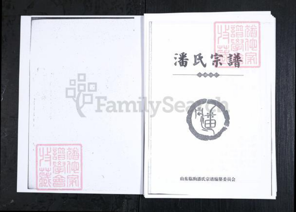 山东省潍坊市临朐县潘氏族谱-潘氏宗谱.pdf电子版插图