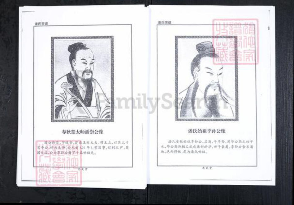 山东省潍坊市临朐县潘氏族谱-潘氏宗谱.pdf电子版插图2