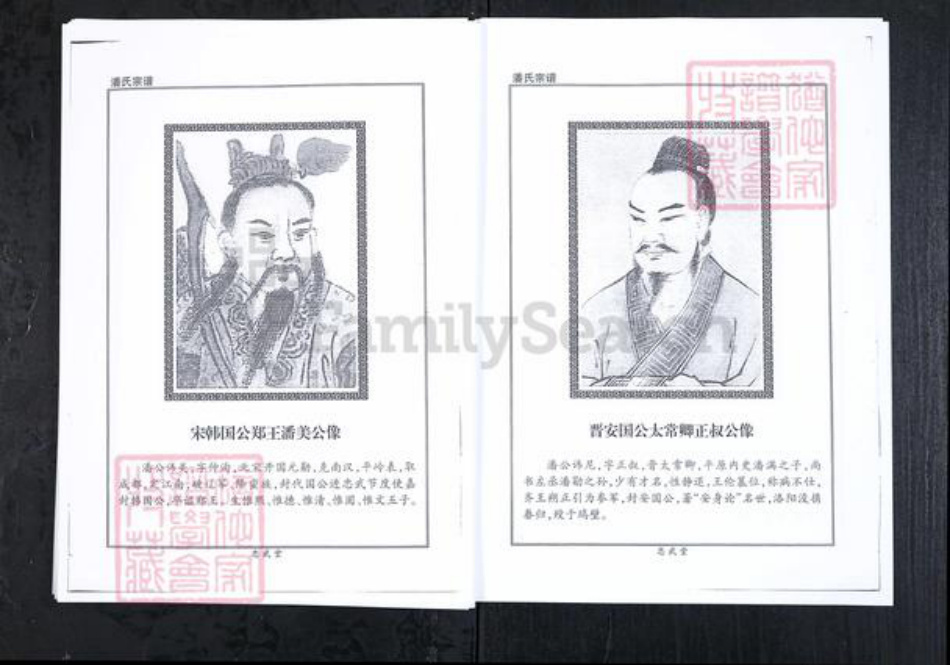 山东省潍坊市临朐县潘氏族谱-潘氏宗谱.pdf电子版插图3