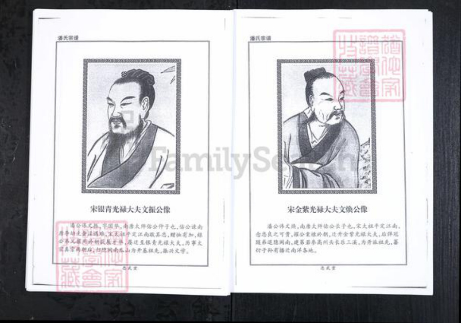 山东省潍坊市临朐县潘氏族谱-潘氏宗谱.pdf电子版插图4