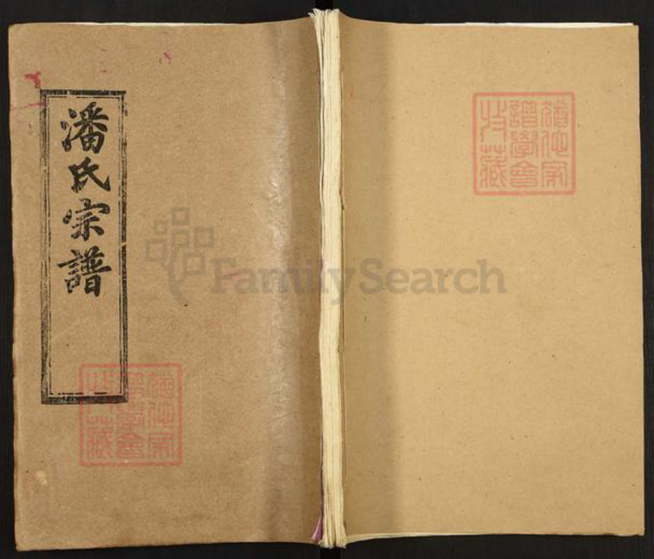湖北省黄冈市罗田县潘氏清和堂族谱-潘氏宗谱.pdf电子版插图