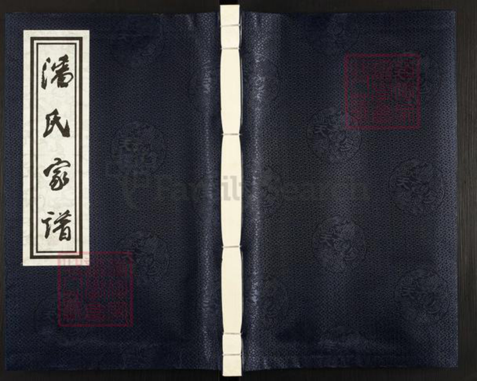 浙江省金华市浦江县潘氏聿追堂族谱-富桐潘氏宗谱.pdf电子版插图