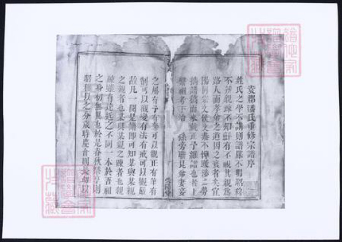 江西省宜春市潘氏族谱-袁郡潘氏宗谱.pdf电子版插图3