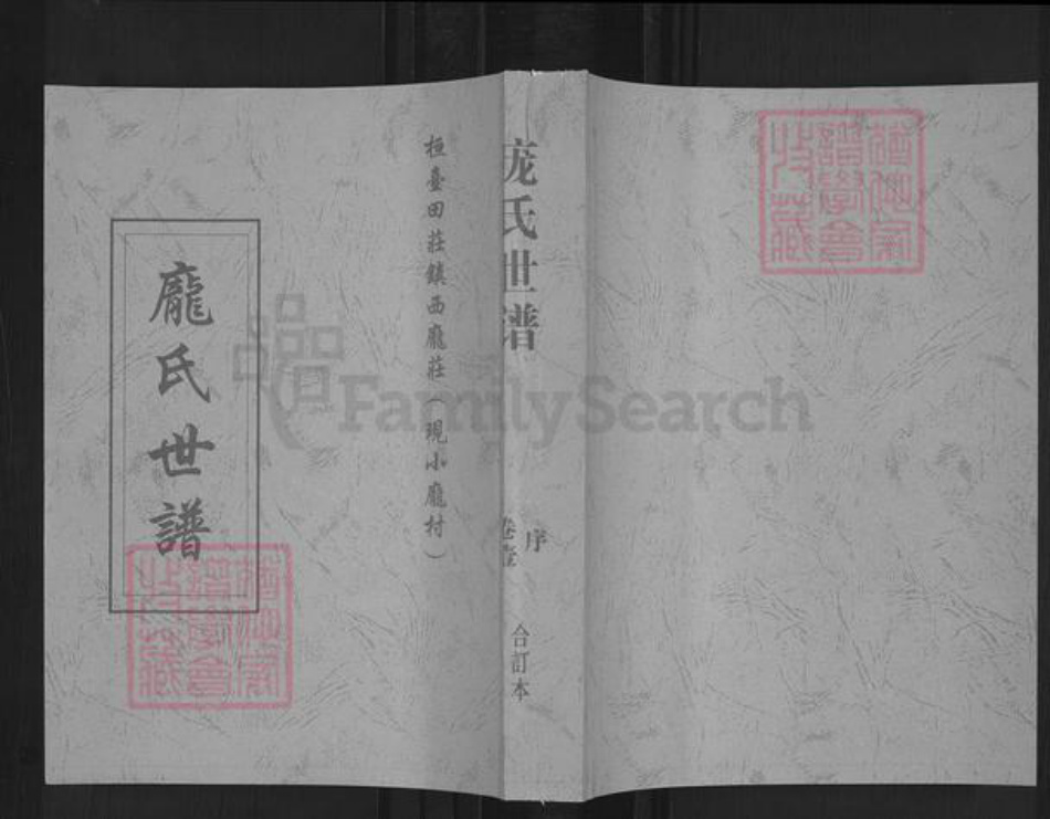 山东省淄博市桓台县新城镇庞氏族谱-庞氏世谱.pdf电子版插图