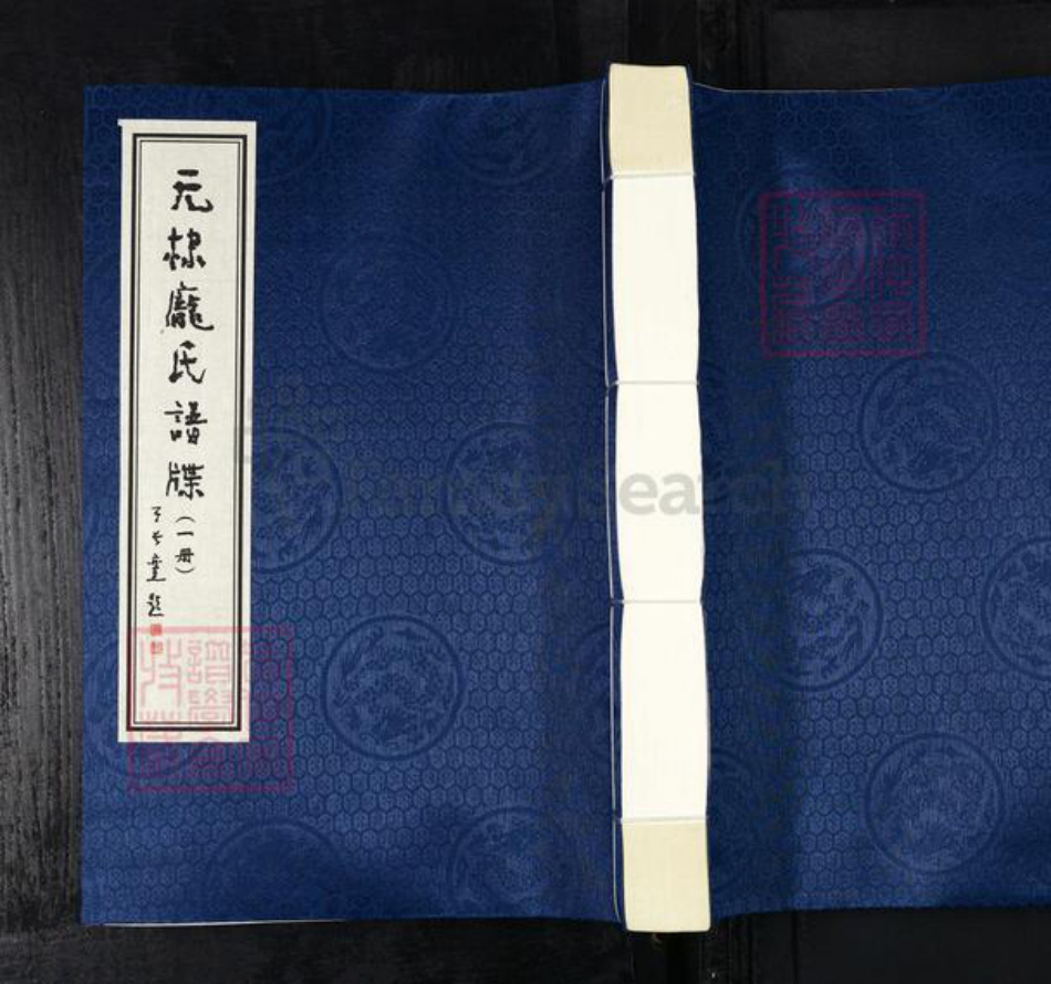 山东省滨州市无棣县信阳镇庞氏族谱-无棣庞氏谱牒.pdf电子版插图