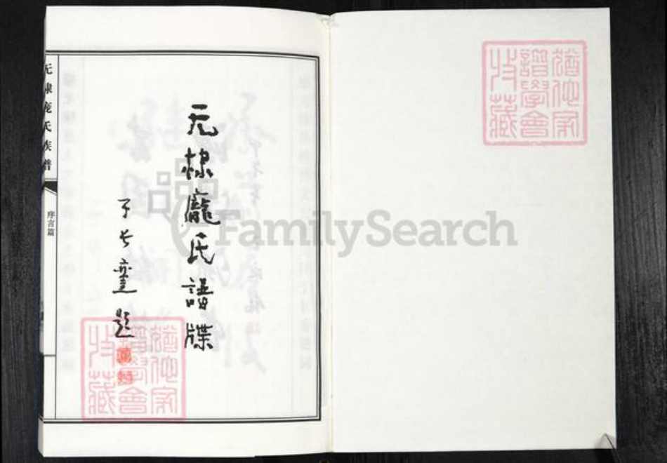 山东省滨州市无棣县信阳镇庞氏族谱-无棣庞氏谱牒.pdf电子版插图1