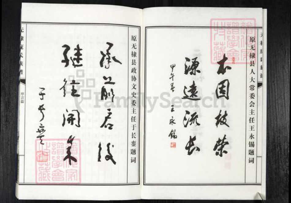 山东省滨州市无棣县信阳镇庞氏族谱-无棣庞氏谱牒.pdf电子版插图2