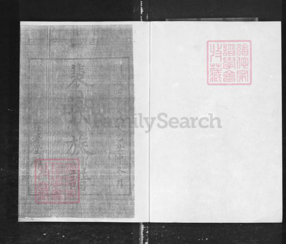 湖南省长沙市浏阳市沙市镇裴氏族谱-裴氏族谱.pdf电子版插图