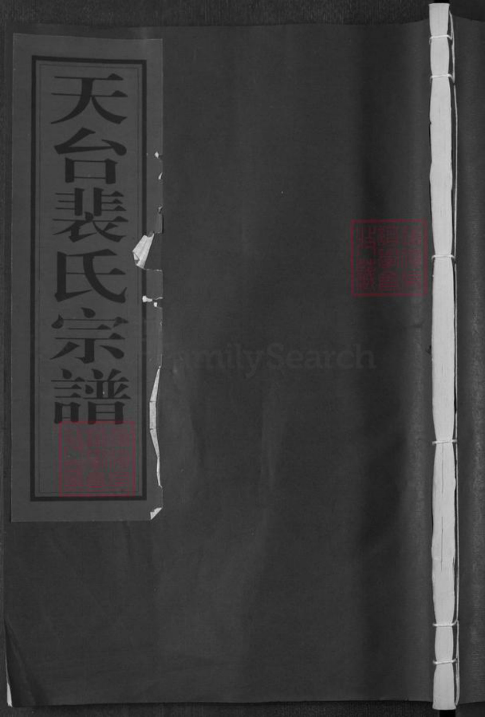 浙江省台州市天台县坦头镇裴氏族谱-天台裴氏宗谱.pdf电子版插图