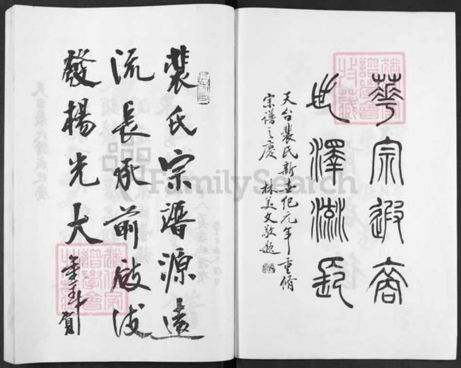 浙江省台州市天台县坦头镇裴氏族谱-天台裴氏宗谱.pdf电子版插图3