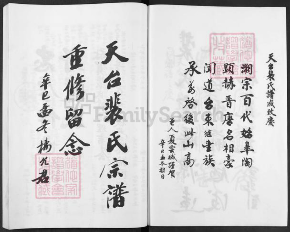 浙江省台州市天台县坦头镇裴氏族谱-天台裴氏宗谱.pdf电子版插图4