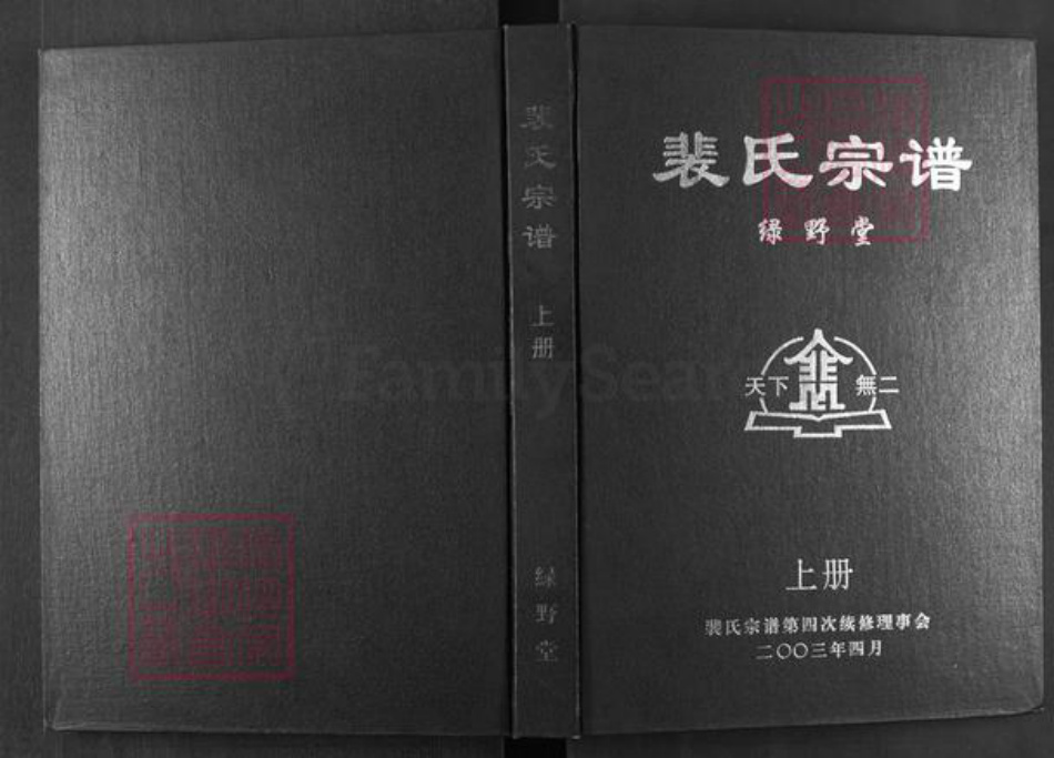 湖南省常德市澧县澧阳街道裴氏绿野堂族谱-裴氏宗谱.pdf电子版插图