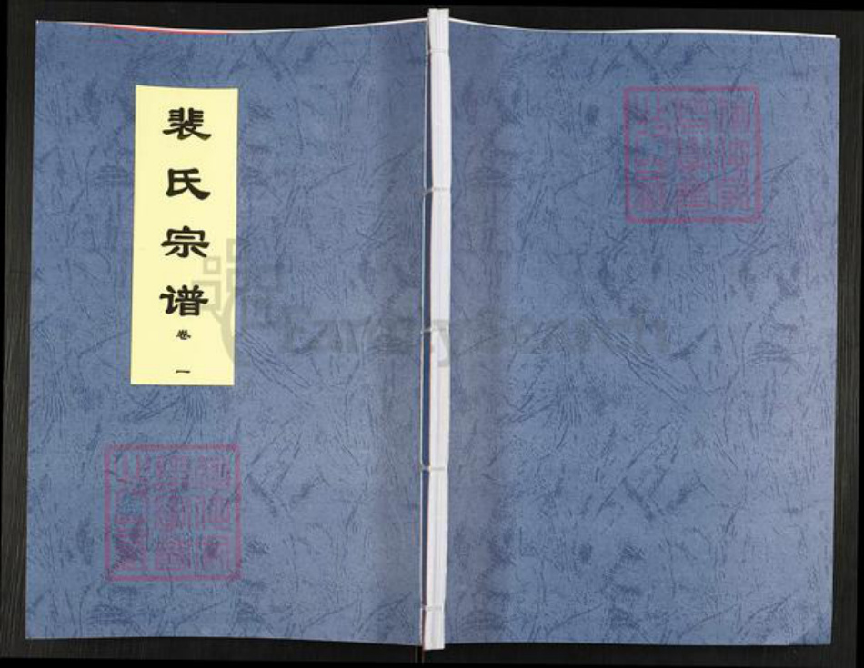 安徽省合肥市肥东县梁园镇裴氏绿野堂族谱-裴氏宗谱.pdf电子版插图