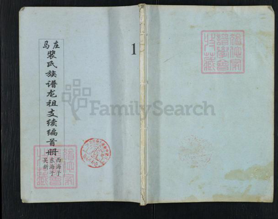 山东省泰安市岱岳区裴氏族谱-马庄裴氏族谱龙祖支续编.pdf电子版插图