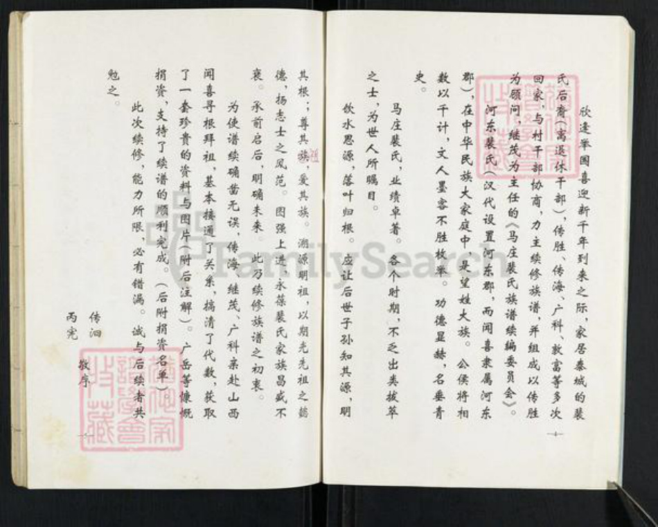 山东省泰安市岱岳区裴氏族谱-马庄裴氏族谱龙祖支续编.pdf电子版插图3