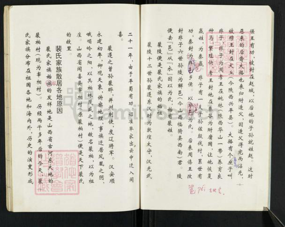 山东省泰安市岱岳区裴氏族谱-马庄裴氏族谱龙祖支续编.pdf电子版插图5