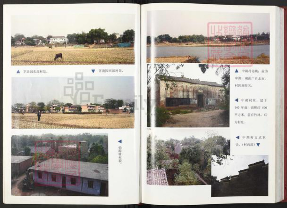 江西省鹰潭市贵溪市滨江镇彭氏族谱-彭氏宗谱.pdf电子版插图5 江西省鹰潭市贵溪市滨江镇彭氏族谱-彭氏宗谱.pdf电子版插图5