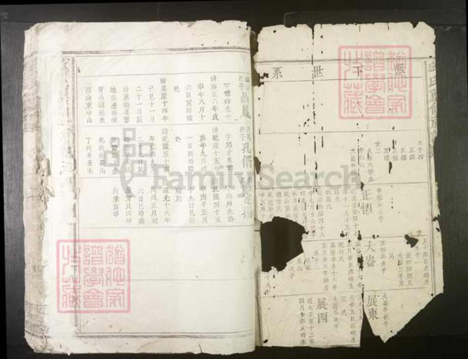 江西省彭氏族谱-雩邑彭氏四修族谱[不分卷].pdf电子版插图1