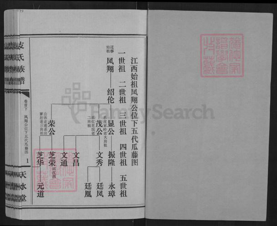 湖北省荆州市江陵县皮氏天水堂族谱-皮氏族谱.pdf电子版插图1