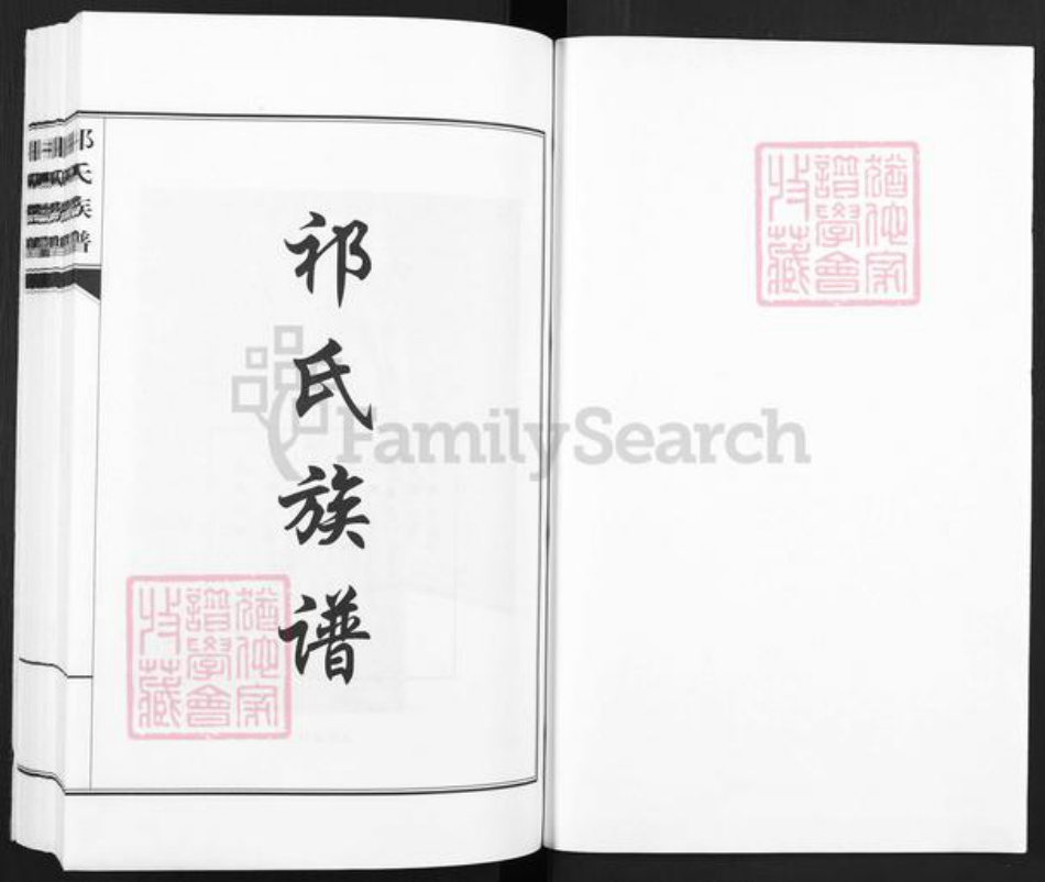 山西省阳泉市平定县巨城镇祁氏族谱-山西.阳泉.连庄.祁氏族谱.pdf电子版插图1