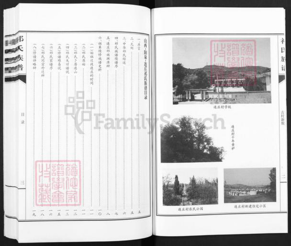 山西省阳泉市平定县巨城镇祁氏族谱-山西.阳泉.连庄.祁氏族谱.pdf电子版插图4