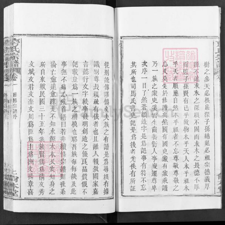 湖北省武汉市新洲区齐氏尚本堂族谱-齐氏宗谱.pdf电子版插图5 湖北省武汉市新洲区齐氏尚本堂族谱-齐氏宗谱.pdf电子版插图5