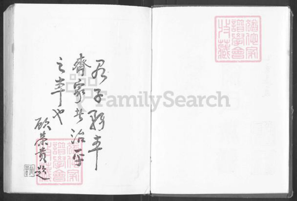 山东省枣庄市滕州市滨湖镇秦氏三贤堂族谱-东鲁.秦氏族谱.pdf电子版插图2