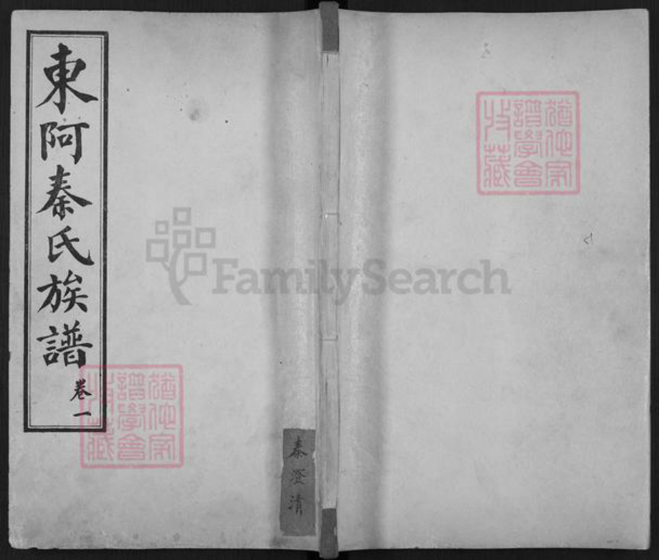 山东省聊城市东阿县秦氏族谱-东阿秦氏族谱.pdf电子版插图