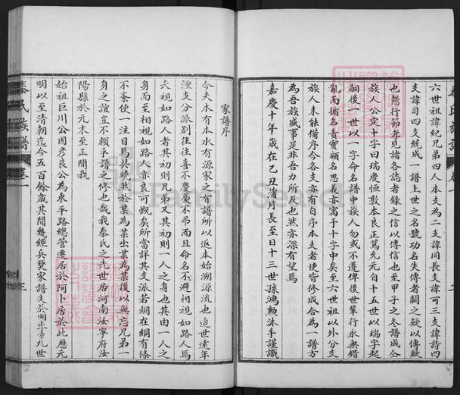 山东省聊城市东阿县秦氏族谱-东阿秦氏族谱.pdf电子版插图4