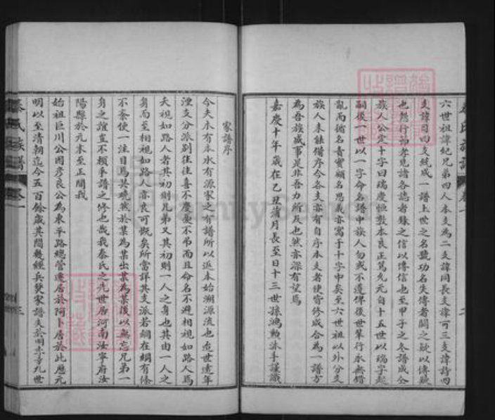 山东省聊城市东阿县刘集镇秦氏族谱-东阿秦氏族谱.pdf电子版插图4