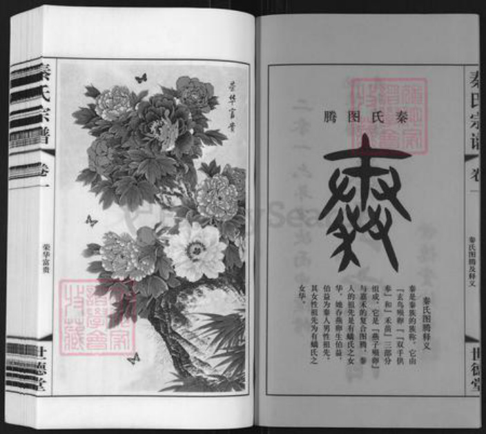 江苏省常州市武进县雪堰镇秦氏世德堂族谱-秦氏宗谱.pdf电子版插图2