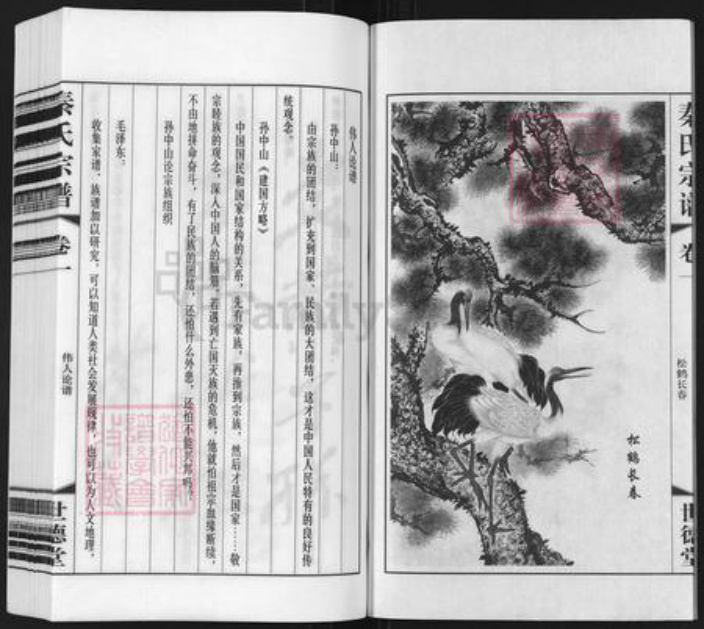 江苏省常州市武进县雪堰镇秦氏世德堂族谱-秦氏宗谱.pdf电子版插图3