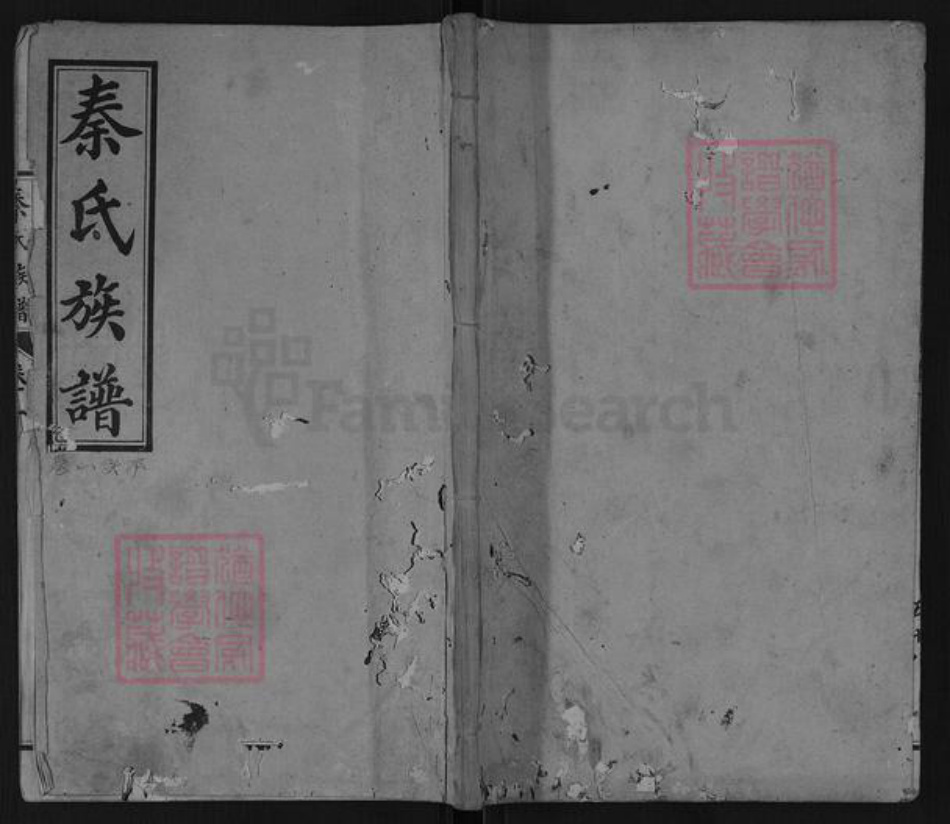 山东省泰安市东平县旧县乡秦氏族谱-山东东阿秦氏族谱.pdf电子版插图
