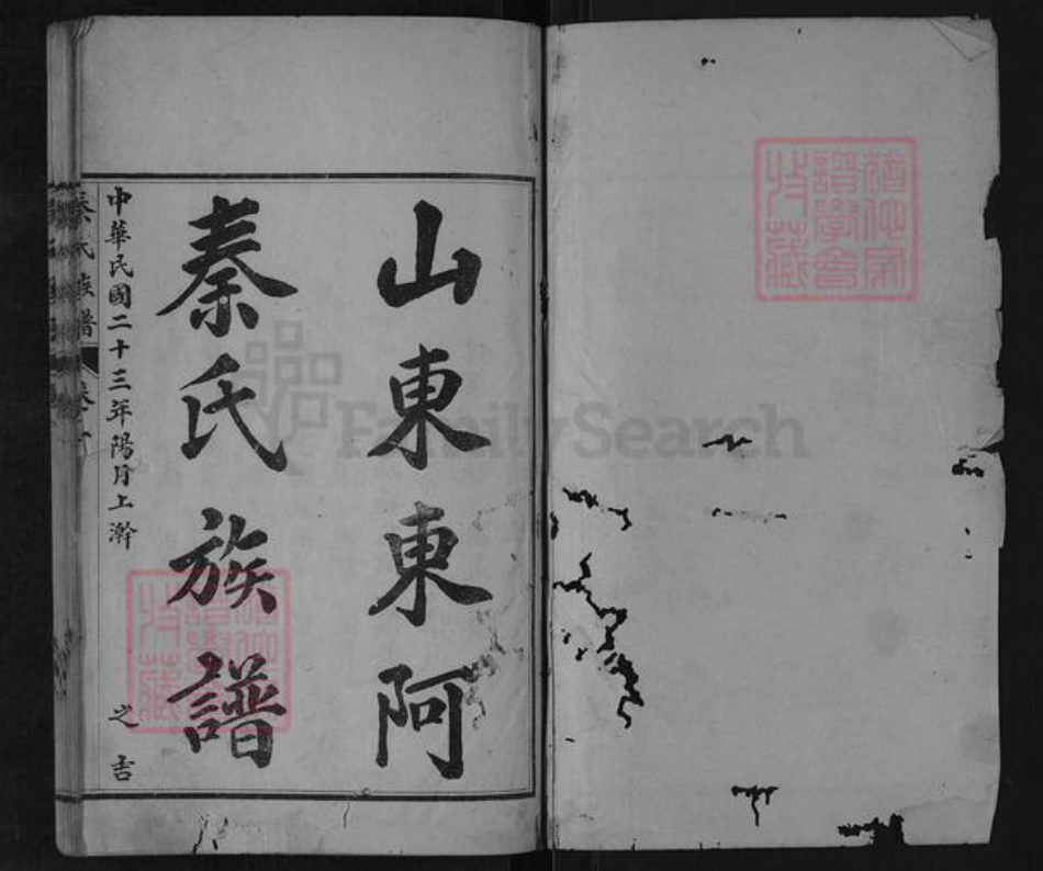山东省泰安市东平县旧县乡秦氏族谱-山东东阿秦氏族谱.pdf电子版插图1