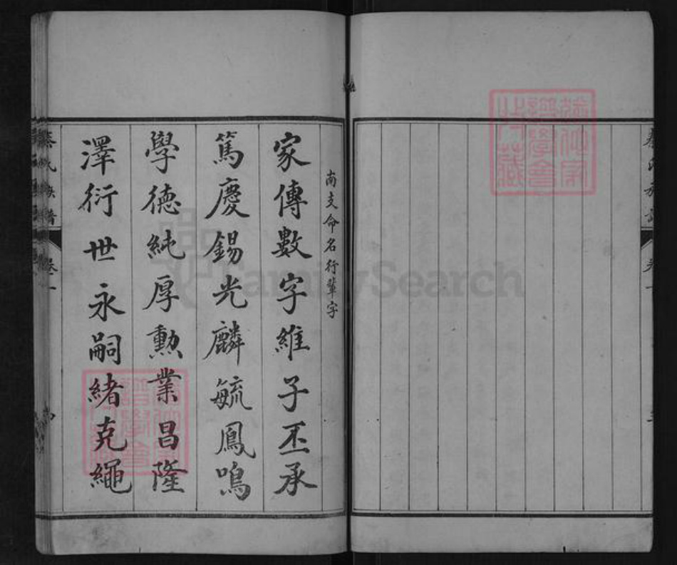山东省泰安市东平县旧县乡秦氏族谱-山东东阿秦氏族谱.pdf电子版插图5