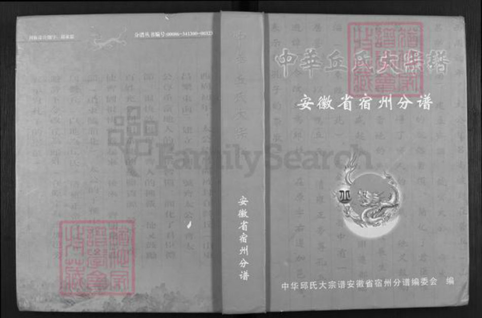 安徽省宿州市埇桥区丘氏天水堂族谱-中华丘氏大宗谱.安徽省宿州分谱.pdf电子版插图