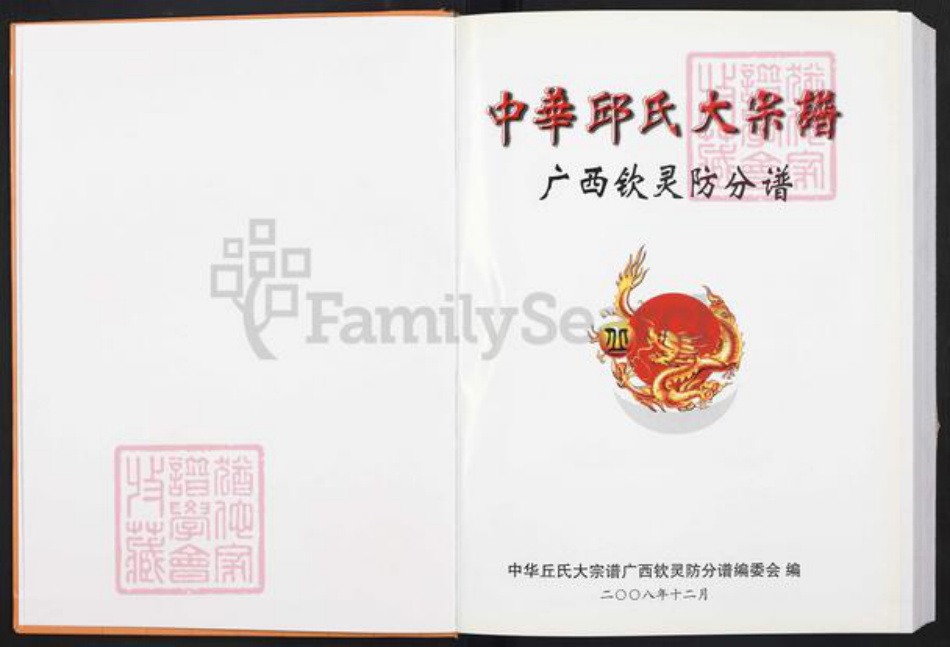 广西壮族自治区丘氏族谱-中华丘氏大宗谱.广西钦灵防分谱.pdf电子版插图1