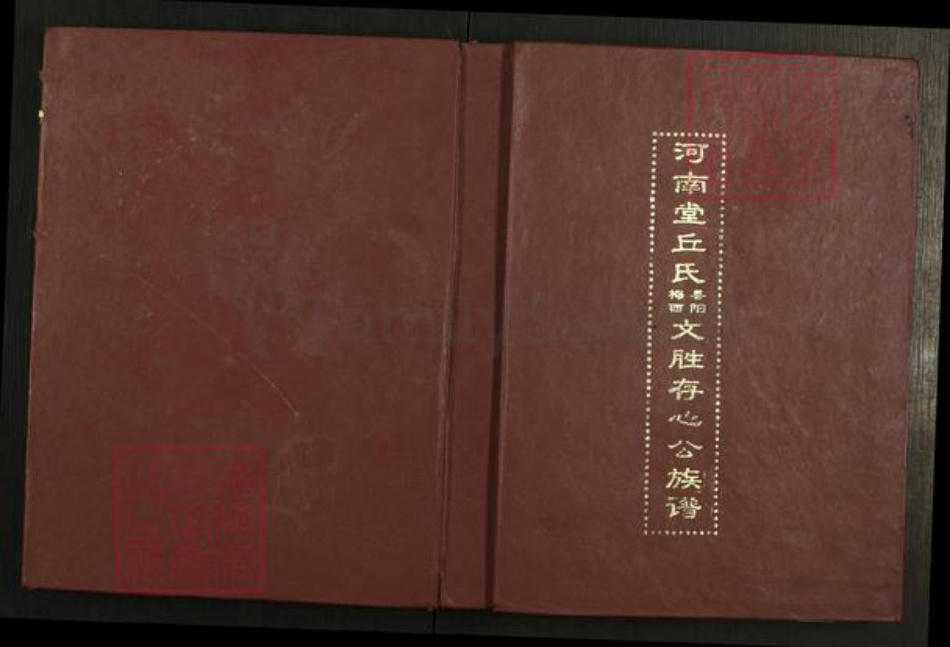 广东省梅州市梅江区丘氏河南堂族谱-河南堂丘氏梅县西阳文胜存心公族谱.pdf电子版插图