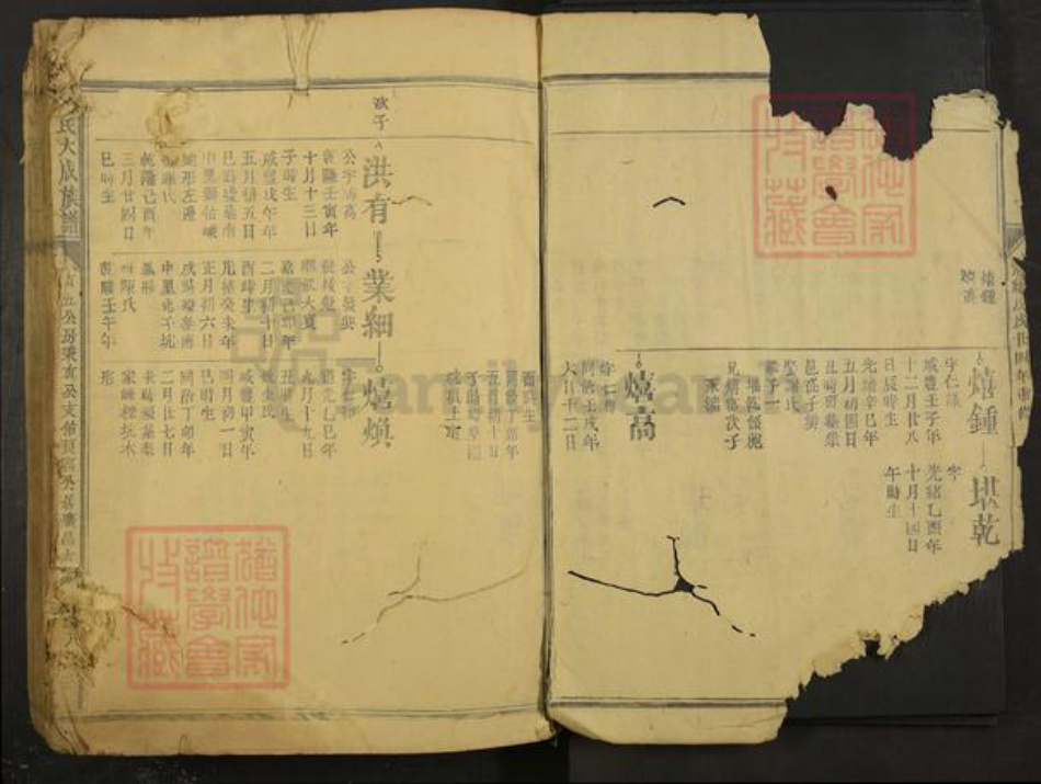 江西省抚州市广昌县邱氏族谱-邱氏大成族谱.pdf电子版插图2
