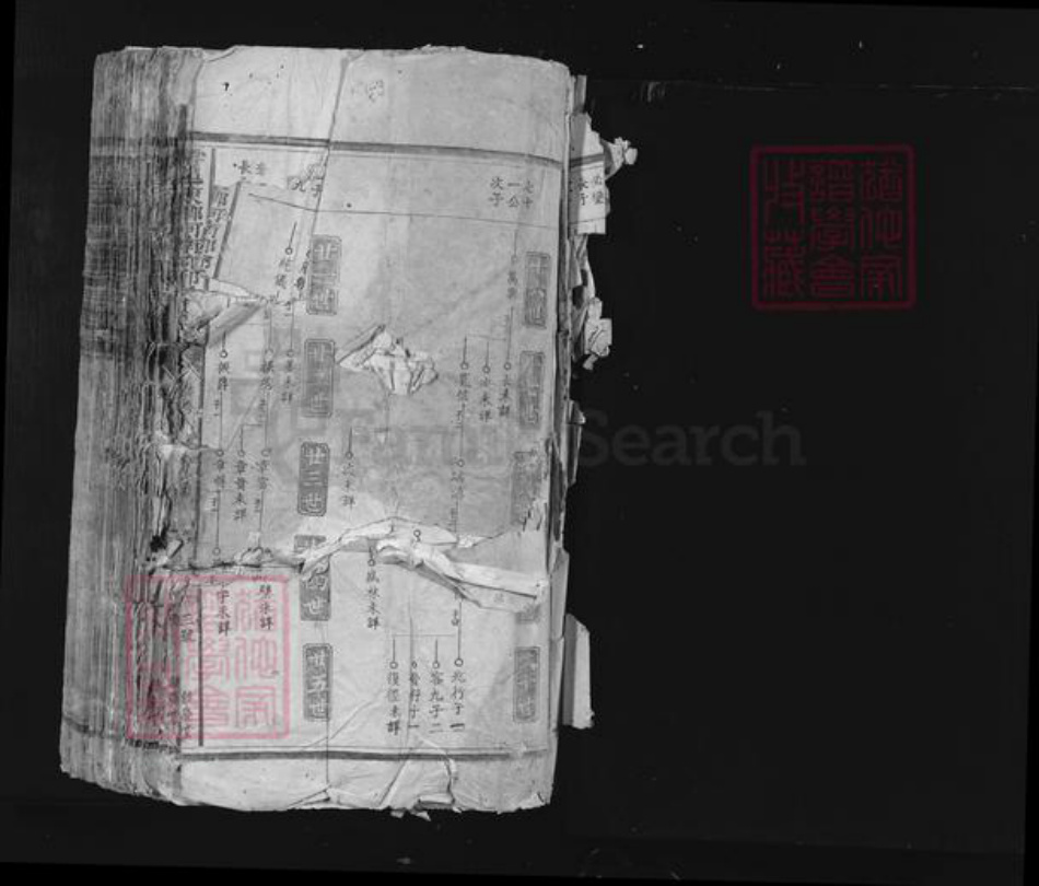 江西省赣州市于都县黄麟乡邱氏饶庆堂族谱-雩邑东乡河南郡邱氏族谱.pdf电子版插图1
