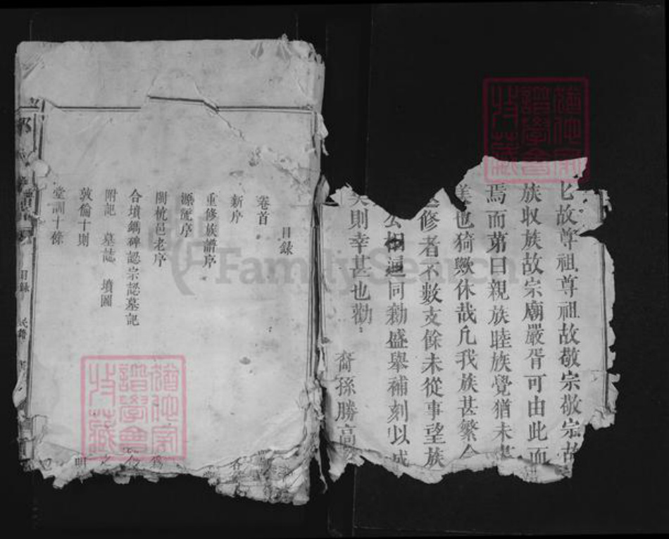 福建省龙岩市上杭县邱氏河南堂族谱-邱氏族谱.pdf电子版插图2